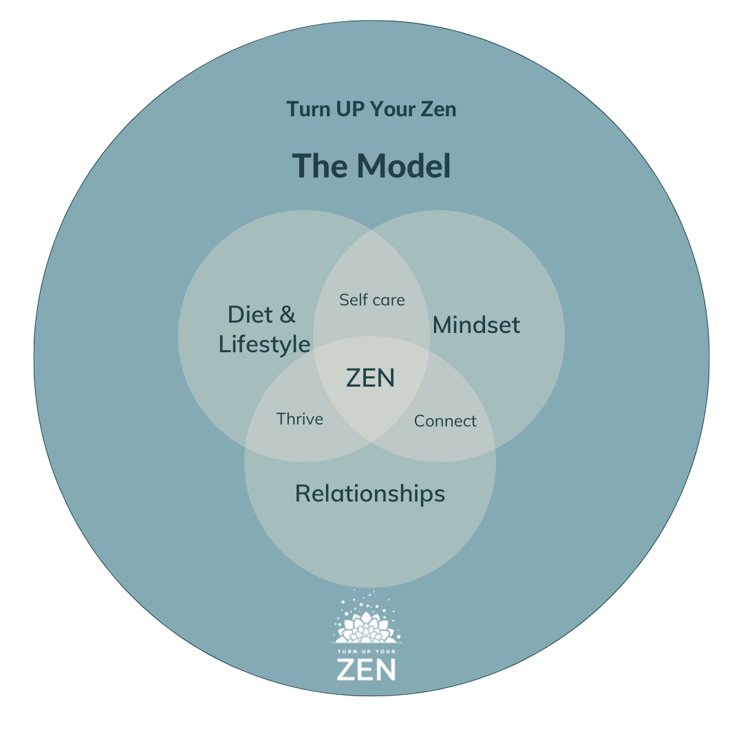 Turn UP Your Zen model